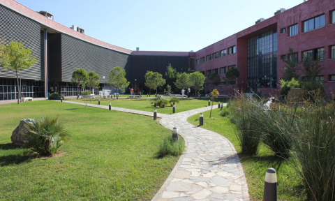 Universidad Pablo de Olavide Sevilla